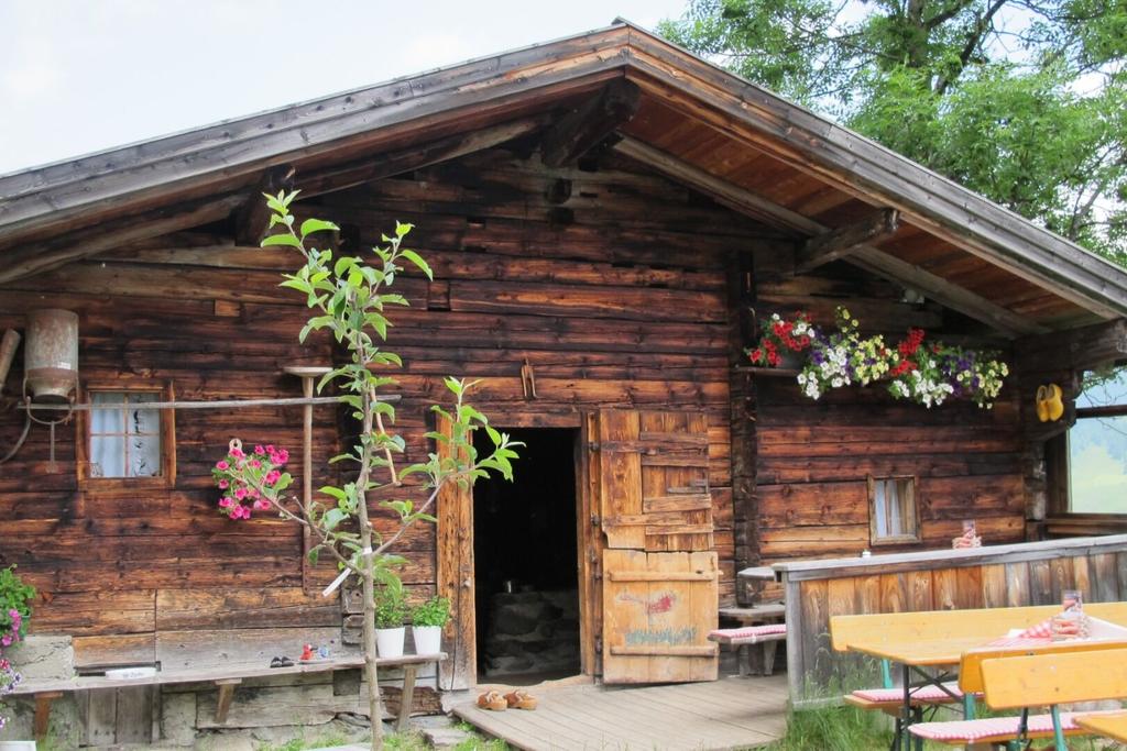 Wildschönau Farnkaseralm