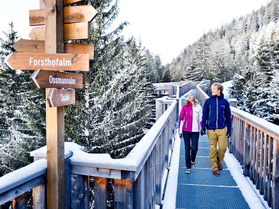 Winterwanderung auf dem Baumzipfelweg