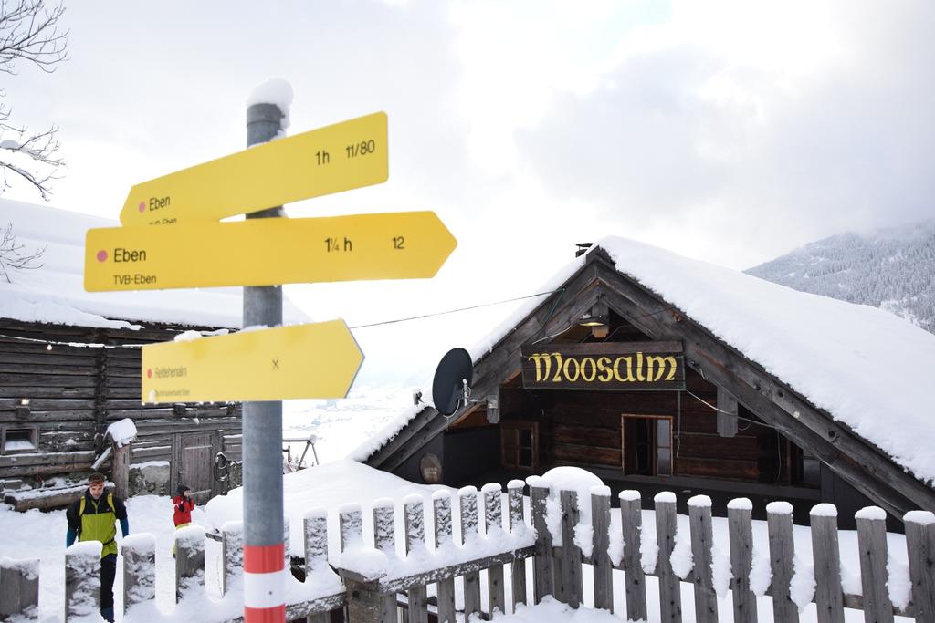 Moosalm im Winter
