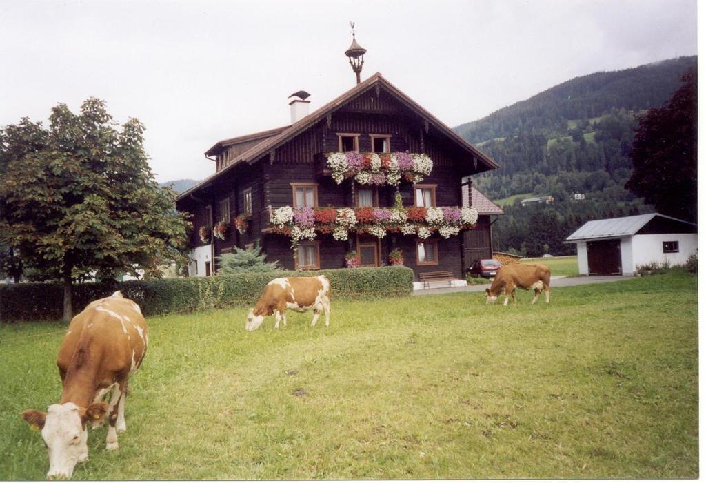 Hausfoto Sommer