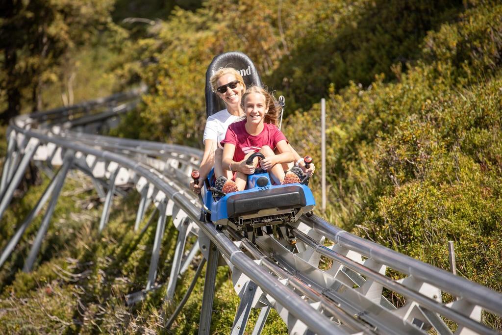 Alpbachtaler Lauser Sauser