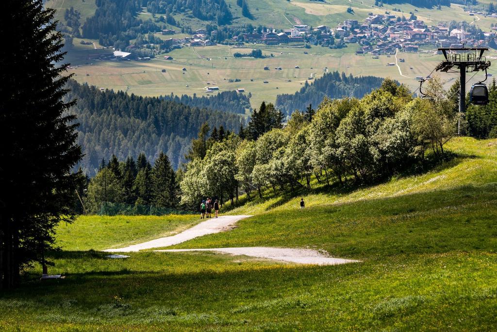 Wiesenweg (c) FroZenLights.jpg