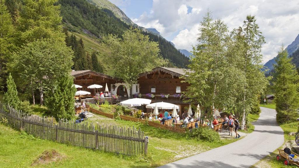 Laponesalm Sommer, aussen.JPG