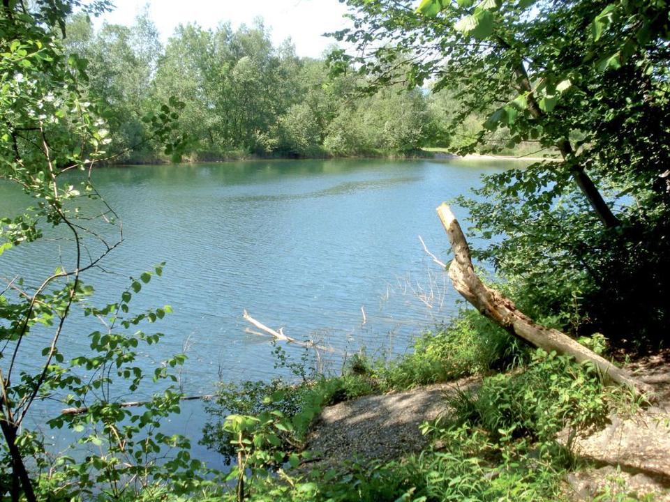 Alter Rhein zwischen Schmitterbrücke und Wiesenrain