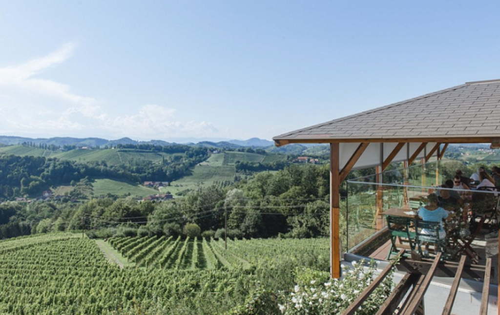 Weingut Nekrep Weingarten