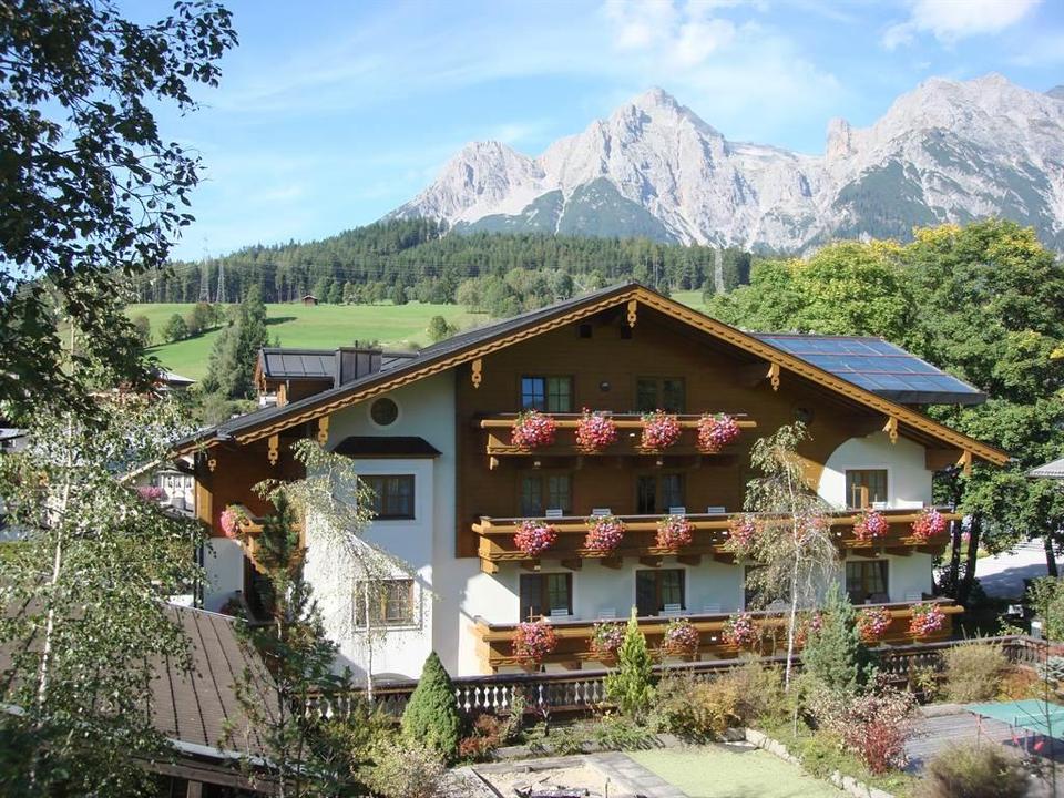 Alpenblick  Sommer
