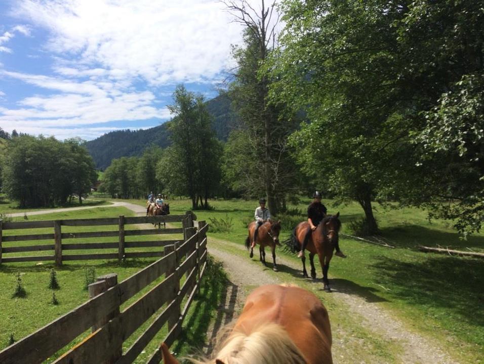 Reitsportarena Hohe Tauern