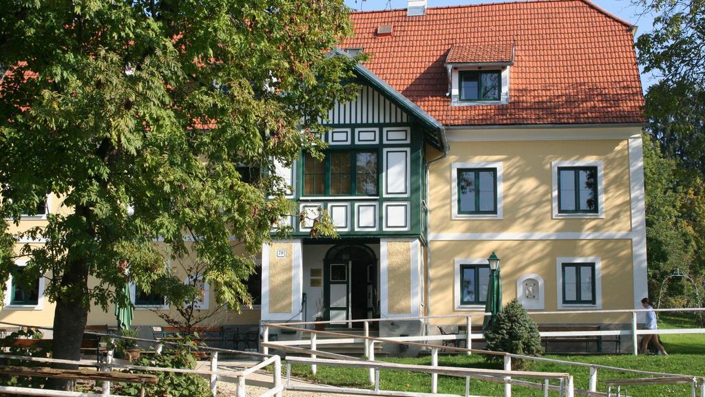Islandpferdehof Hoyos