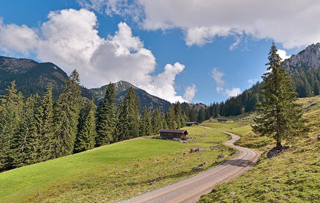 Gschwendtneralm - kurz vor der Hochalm