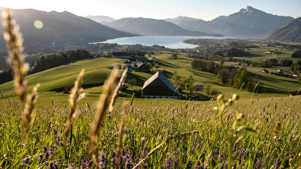 Naturpark Bauernland