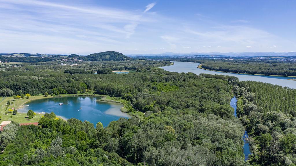 Flusslandschaft Steyregg