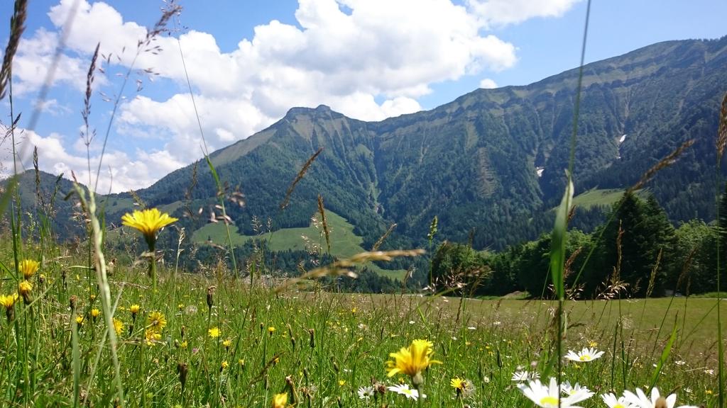 Schmittenstein