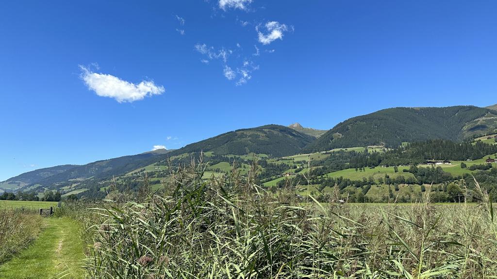 Aussicht auf die Kitzbüheler Alpen von der Luziarunde