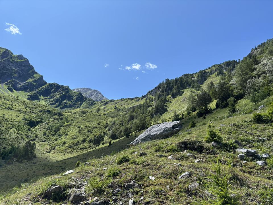 Würmlacher Alpl