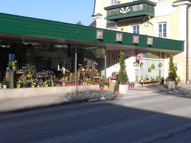 Blumen Putz