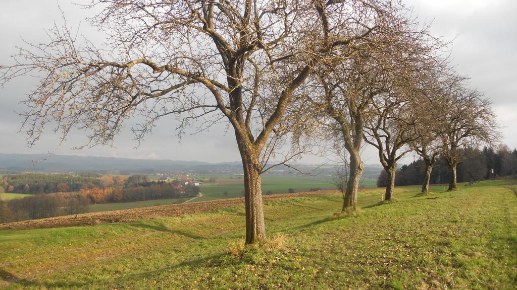 Feichtberg-Blick.jpg