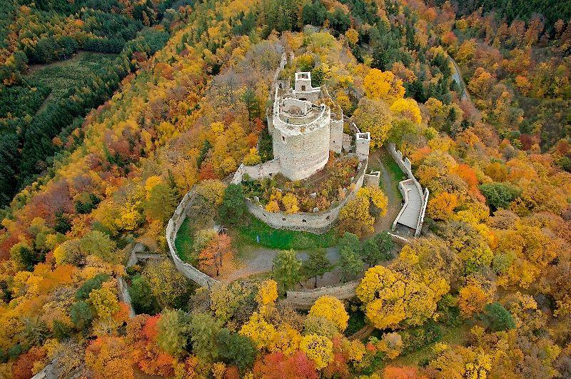 Ruine Landsee
