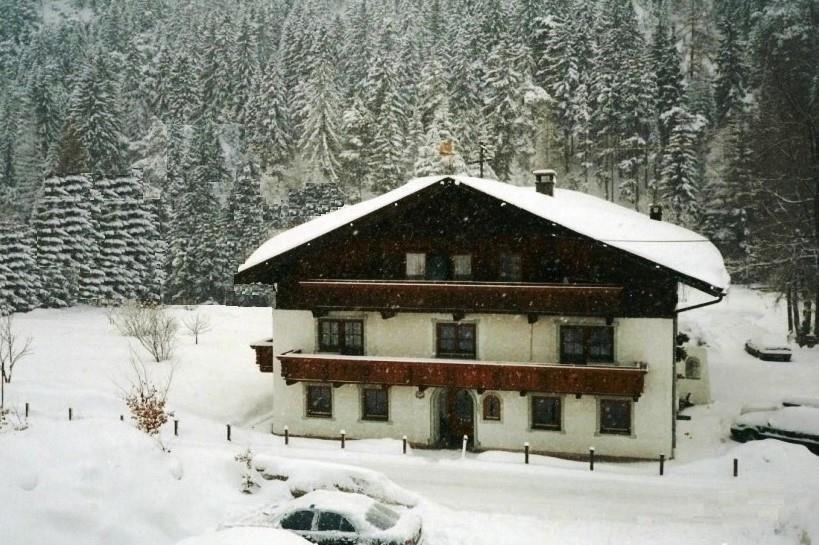 Winter