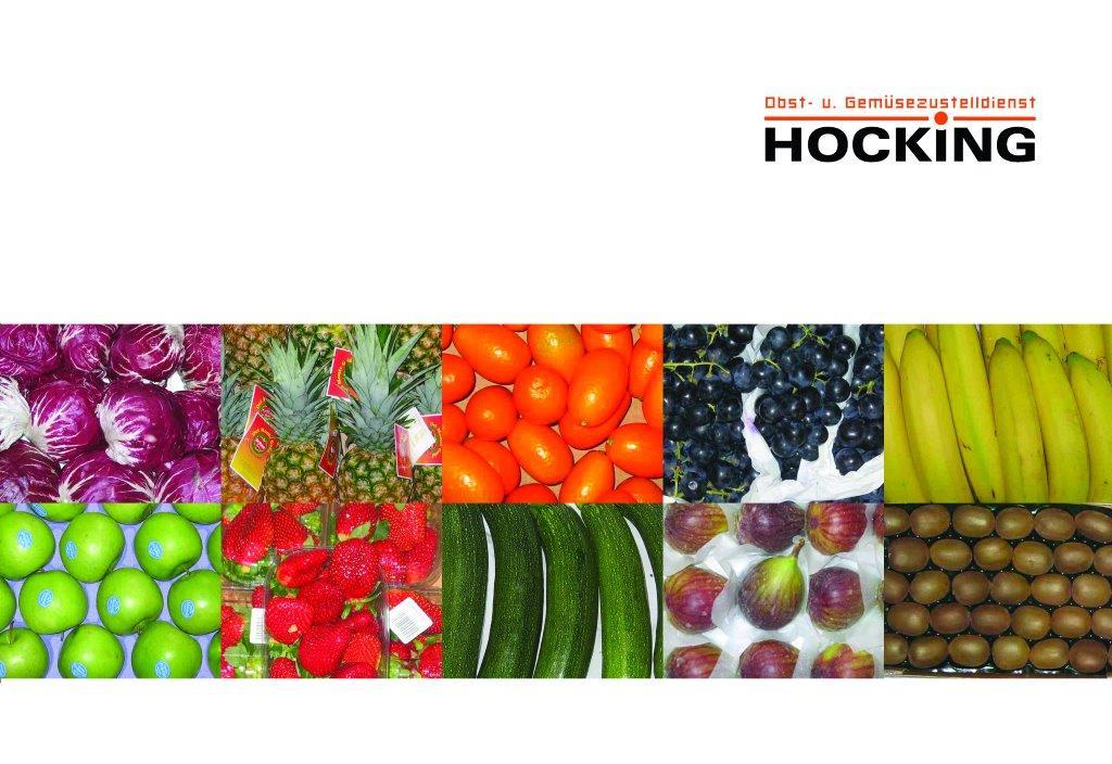 Hocking Zustelldienst Logo