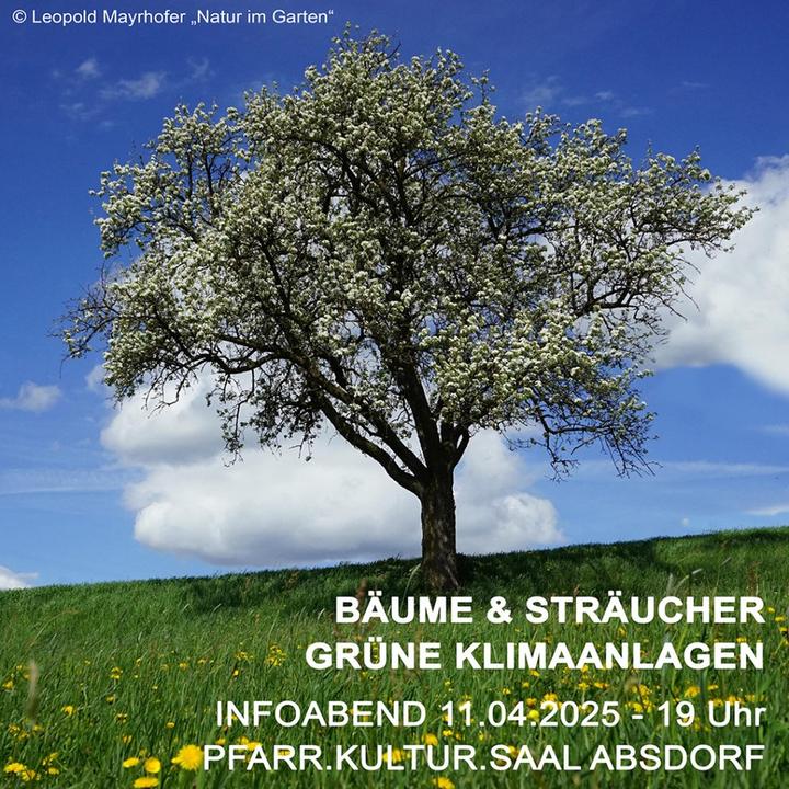 noeevents-172249a49a8a5bd0d2ce9219c98ab54951f8089ff66ecddeb91c22b20f66bb60.jpg