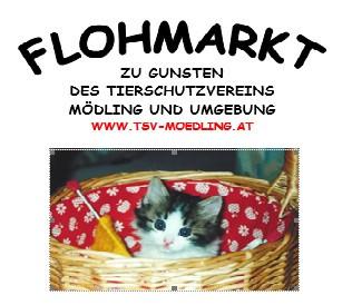 noeevents-3811292e70df833d068ebea28c26cfa2199fd771ba137cce6a30d3639b866851.jpg