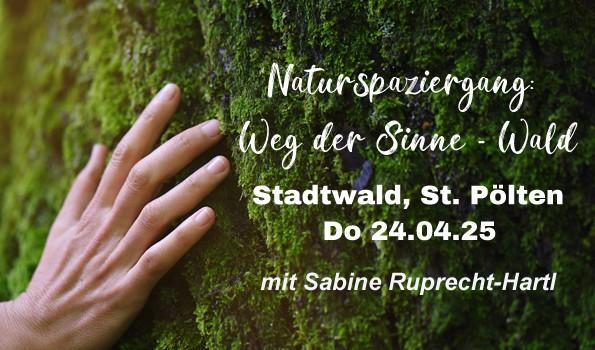 noeevents-419502d009edecc2d3652d766671d4ce5972ab96f21a0dcecfa1b596f495f196.jpg