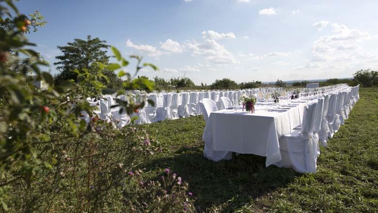noeevents-90663d9ac5dbf48fd5cfad5640e0699bb89d4dc93549c456633f021a87d8edb3.jpg